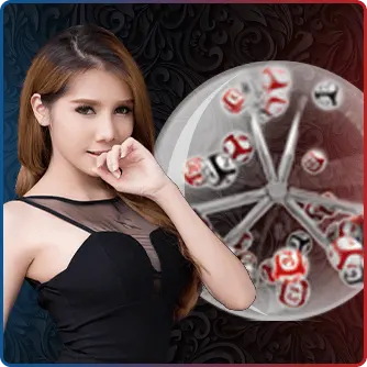 24Dspin
